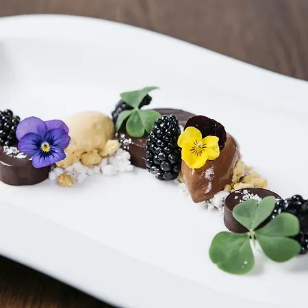 Ξενοδοχείο Lamm 4*